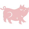Con giáp Hợi